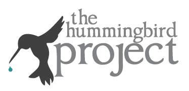 Humming Bird Project